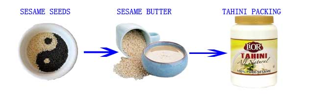 Sesame Paste Grinding Machine