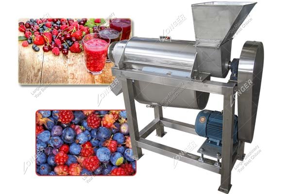 Single Screw Forest Fruit Juice Extractor Machine|Fruit Juice Making Machine