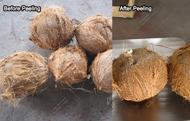 Dried Coconut Peeling Machine|Dry Coconut Peeler